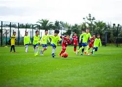 国足对澳关,键战需增补,中卫,新葡京,新葡京app,新葡京娱乐,新普京赌场