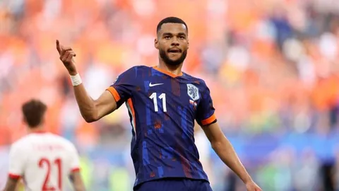 体坛焦点：郭晶晶闪耀不减，刘翔伏明霞淡泊度日，林丹等静享时光